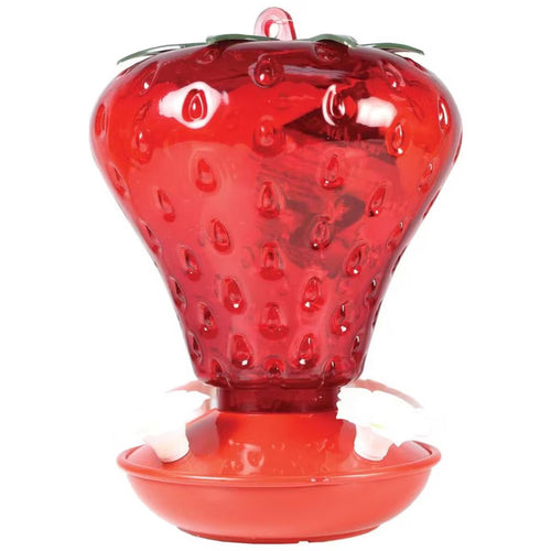 Audubon Strawberry Hummingbird Feeder – 40 oz