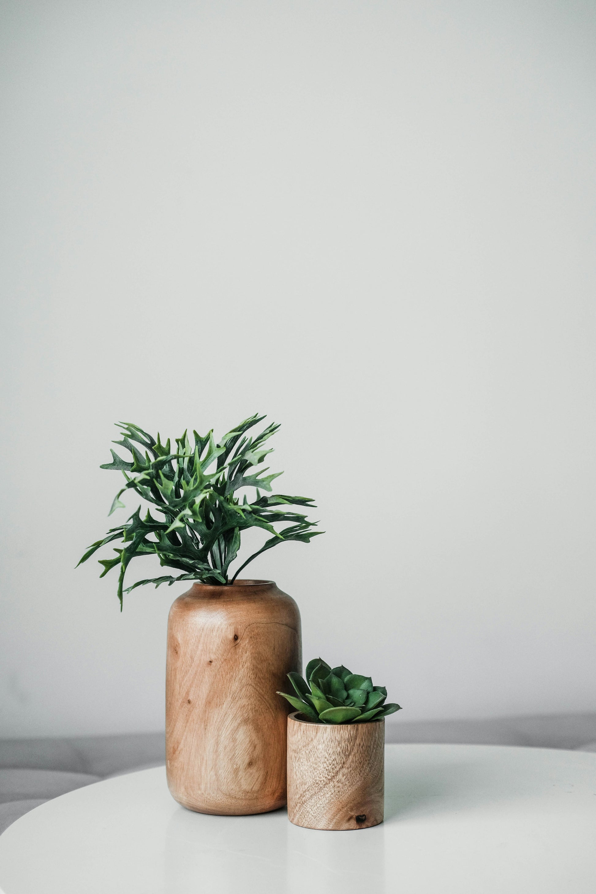 Mango Wood Plant Vase